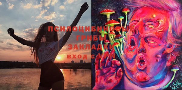 мескалин Каменск-Шахтинский