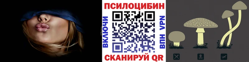 Галлюциногенные грибы Cubensis mega рабочий сайт Питкяранта